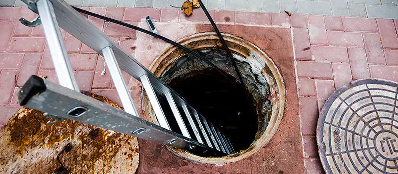 Emergency Sewer Replacement Services in Stayner, ON